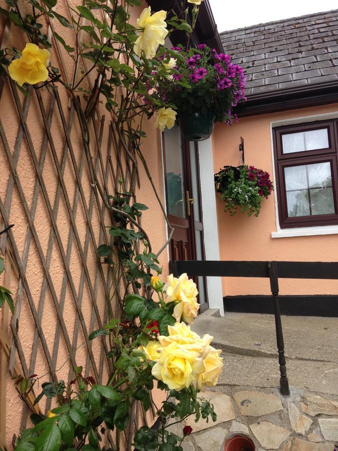 Eriu Lodge Clifden Buitenkant foto